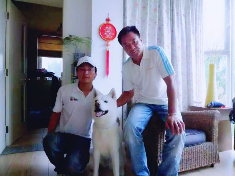 宠物训练 北京上门训犬