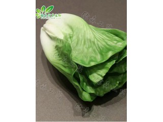 仿真白菜 厂家直销    沈阳仿真植物生产厂家