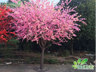 仿真桃花树   厂家直销   沈阳仿真植物生产厂家