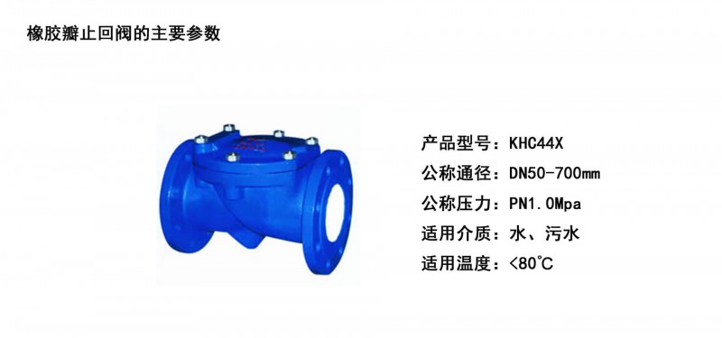 橡胶瓣止回阀06