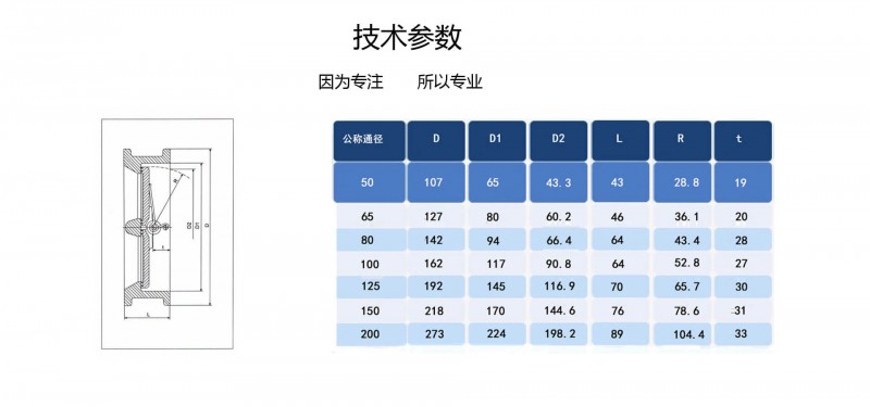 对夹止回阀05