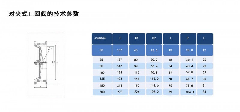 对夹止回阀10