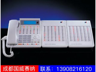 WS824-520C专用话机