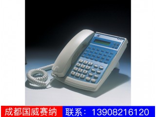 WS824-520E专用话机