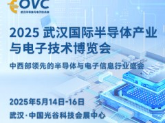 2025 武汉国际半导体产业与电子技术博览会（OVC）