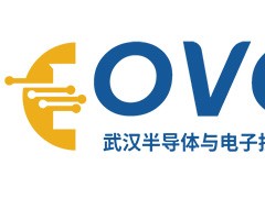 2025武汉国际半导体产业与电子技术博览会（OVC）